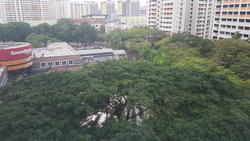 Blk 528 Jelapang Road (Bukit Panjang), HDB Executive #151989972
